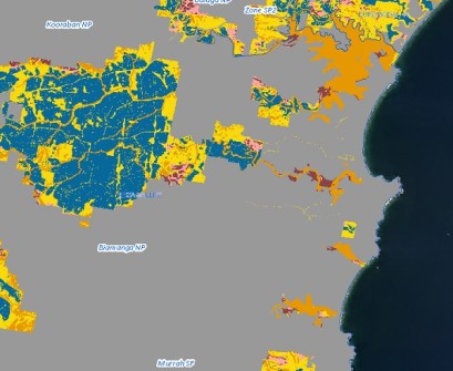 A map showing vegetation areas coded in different colours
