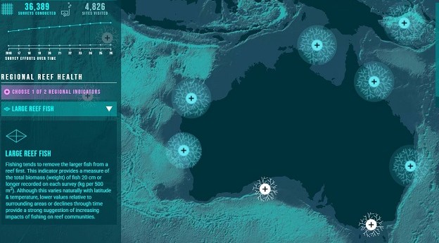 Reef Life Explorer platform now has time series layer