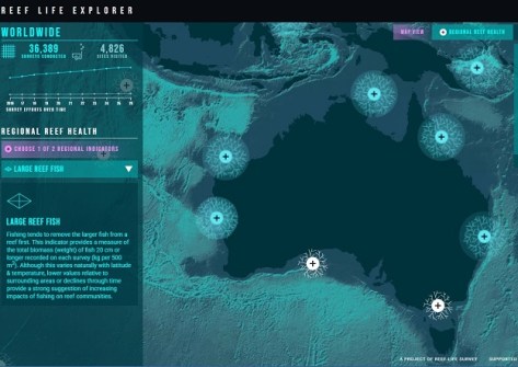 Spatial Source - Reef Life Explorer platform now has time series layer