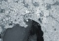 A Sentinel-1A satellite image of Melbourne