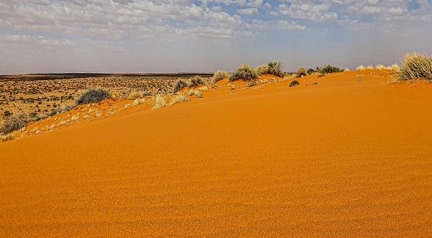 25% of Australia’s land now has protected status