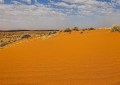 Sand dunes in the Simpson Desert
