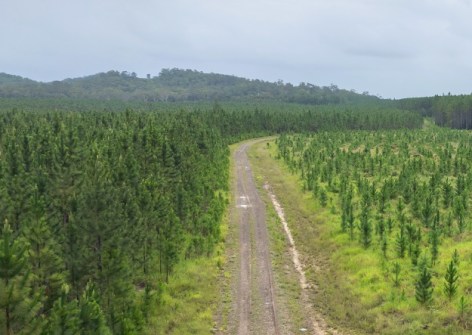 nxzen wins Forestry Corporation LiDAR contract nxzen wins Forestry Corporation LiDAR contract