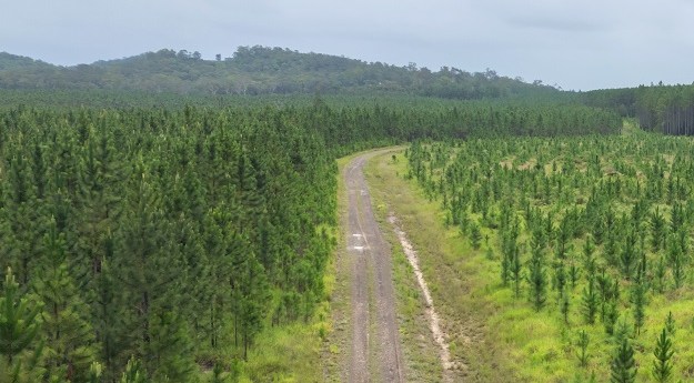 nxzen wins Forestry Corporation LiDAR contract nxzen wins Forestry Corporation LiDAR contract