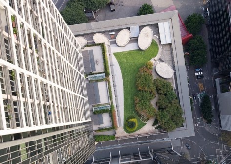 A view looking downwards from a tall building, to a patch of urban greenery below