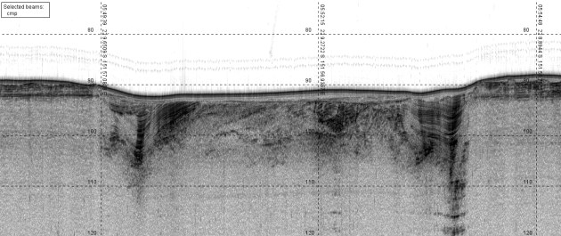 A black-and-white image showing a cross section of part of the seabed in the southern Great Barrier Reef