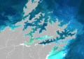 A satellite image of part of New Zealand's coastline, with phytoplankton blooms shown bright blue