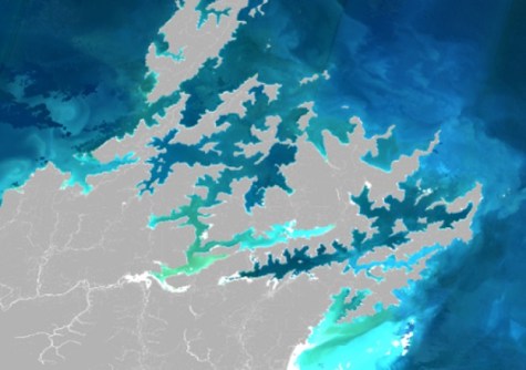 A satellite image of part of New Zealand's coastline, with phytoplankton blooms shown bright blue