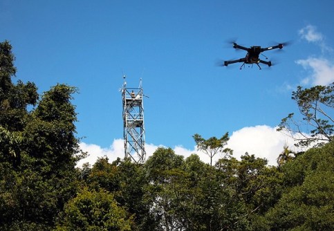 A view looking up at a metal scaffolding tower at one of the supersites in a forest, with drone flying nearby