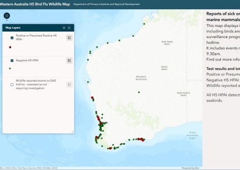 Spatial Source - H5 bird flu dashboard maps detections across WA