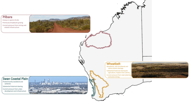 A map of Western Australia showing the three regions at the focus of the native vegetation project