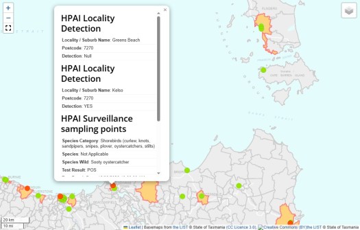 A close-up of part of the Tasmania H5 bird flu map, with a pop-out box indicting in text the status of detections in certain locations